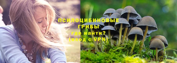 не бодяженный Алексин