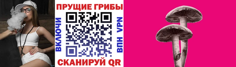 купить наркоту Закаменск Галлюциногенные грибы мухоморы